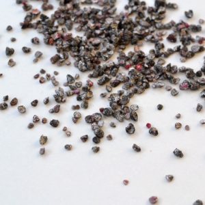 cochenille-100g
